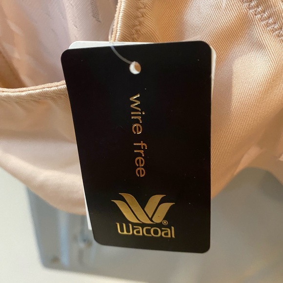 Wacoal Elevated allure wire free bra rose dust - Picture 2 of 7